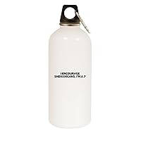 I Encourage Shenanigans. I’m A 7-20oz Stainless Steel Water Bottle with Carabiner, White