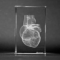3D Human Heart Love with Coronary Artery 1lb 2 x 2 x 3 Inches Optical Crystal Glass Paperweight