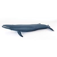 Papo - Hand-Painted - Figurine - Marine Life - Blue Whale Figure-56037 - Collectible - for Children - Suitable for Boys and Girls - from 3 Years Old