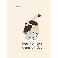 How To Take Care of Cat