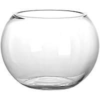 Glass Fishbowl Small Snow Mountain Goldfish Aquarium 5.9 Mini