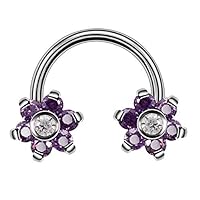 Body Jewelry - 1PC G23 Titanium Double Flower Crystal Horseshoe Rings Eyebrow Nose Piercing Earrings Tragus Rings Lip Piercings Fashion Jewelry - (Metal: Purple, Main Stone: 1.2x10x6.6x6.6mm)