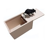 Joke Bash Box Mouse Basis for Adult Wooden Children Halloween Realistic Fear Box