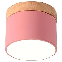Modern Macaron Semi Flush Mount Ceiling Light Cylindrical Retro Farmhouse Hallway Lighting Fixtures Ceiling Dimmable Acrylic Living Room Bedroom Dining Room Entry Foyer Ceiling Light ( Color : Pink ,