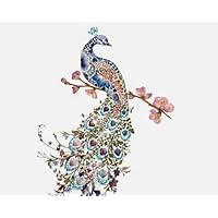 2 Set of 4 Individual Peacock Bird Paper Luncheon Napkins, Luncheon Napkins Decoupage, Art and Craft Projects - Eb5