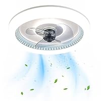 48cm LED Ceiling Light with Fan, Low Profile Flush Mount LED Ceiling Fan 3 Speeds Adjustable Modern Fan Lighting Timing with Remote Control for Bedroom, Kid's Room