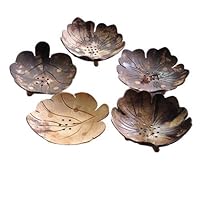 Coconut Shell Soap Dish Holder (Pack of 5)
