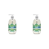 Seventh Generation Hand Wash, Free and Clear, 12 Ounce (Pack of 2)