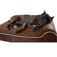 Orthopedic Dog Bed - Memory Foam Dog Bed for Arthritic & Elderly Dogs - Machine Washable Dog Bed with Waterproof Liner - XL, 52 x 34 x 7 Inches - Chocolate
