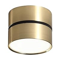 Close To Ceiling Lights Modern Simplicity LED Ceiling Light Cylindrical Embedded LED Ceiling Lamp Flat Ceiling Lighting Downlight for Cloakroom Corridor Hallway Aisle Living Room Lighting Fixture ( Co