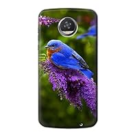 R1565 Bluebird of Happiness Blue Bird Case Cover for Motorola Moto Z2 Play