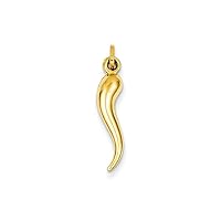 14k Yellow Gold Polished Hollow Italian Horn Charm Pendant Necklace Measures 24x6mm Wide Jewelry for Women