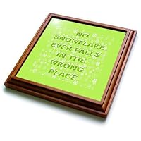 3dRose No Snowflake Ever Falls in The Wrong Place Zen Proverb - Trivets (trv-385240-1)