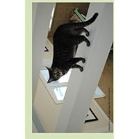 Tabby Cat Up In The Rafters Blank Book Lined 5.5 by 8.5: 5.5 by 8.5 inch 100 page lined blank book suitable as a journal, notebook, or diary with a ... feline leukemia. (Cats of Ralphie's Retreat) Tabby Cat Up In The Rafters Blank Book Lined 5.5 by 8.5: 5.5 by 8.5 inch 100 page lined blank book suitable as a journal, notebook, or diary with a ... feline leukemia. (Cats of Ralphie's Retreat) Paperback
