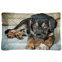 Personalized Dog Mat Bed 18x24 inch Kennel Bed Pad Custom Pet Mat Customized Dog Gifts Non-Slip Crate Dog Bed Crate Mat Pet Bed