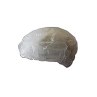 MAGID H42 EconoWear Polypropylene Disposable Hair Cap with Elastic Closure, 2X-Large, White (Case of 100)