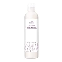 Plant Therapy Lavender Body Lotion with Aloe and Shea, Hydrate and Nourish Skin with Botanical Ingredients, 8 oz