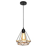 Qiangcui Vintage Pendant Light Industrial Flush Mount Chandelier Caged Ceiling Lights E27 Hanging Lamp Metal Adjustable, for Kitchen Hallway Entryway Balcony