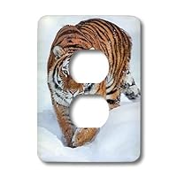 3dRose lsp_13492_6 Tiger in Ice Light Switch Cover