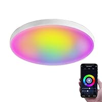 WiFi &Bluetooth Smart RGBCW Ceiling Lights, Compatible with Alexa & Google Home, for Living Room, Bedroom, Kitchen,Kids Party,24W