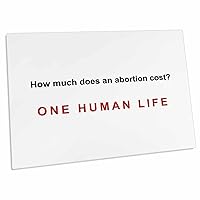 3dRose How Much Does Abortion Cost - Desk Pad Place Mats (dpd-60812-1)