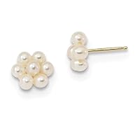 14k Gold for boys or girls White 2 3mm Freshwater Cultured Pearl Flower Earrings Measures 7.94x7.94mm Wide