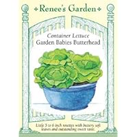 Lettuce - Garden Babies Butterhead