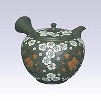 Tokoname Kyusu teapot - SHUNEN - White Plum - 260cc/ml - Pottery Steel net with Wooden Box [Standard Ship by EMS: with Tracking Number & Insurance]