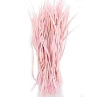 5''-9.5'' Feathers Fly Tying Materials for stonefly Nymph Split Tails& Down Wings 50pcs/Pack (Pink)