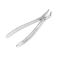 OdontoMed2011 English EXTRACTING Forceps 79, Lower Third MOLARS, English Pattern Extraction Forceps Stainless Steel
