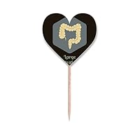 Body Large Intestine Toothpick Flags Heart Lable Cupcake Picks