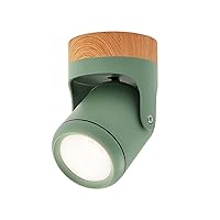 Aluminum Lampshade Rubber Wood Base LED Ceiling Lamp LED Ceiling Lamp Aisle Light Balcony Home Entrance Porch Cloakroom Ceiling Lamp Creative Lighting Fittings (Color : Green)
