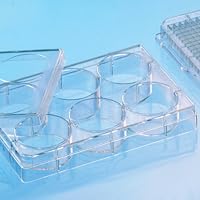 657930 Clear Polystyrene CELLCOAT Microplate with Lid, Coated with Poly-L-Lysine, Flat Bottom, Chimney Style, 6 Well (Pack of 50)