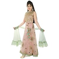 Indian Kids Fashion Festival Pink Fancy Net Golden Sequin Top Lehenga Choli Dupatta Party Girls kid dress K22
