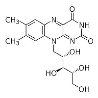 bioWORLD 41800009-1 Riboflavin, Vitamin B2, 250 g