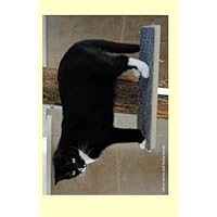 Soho on the cat tree 2016 Weekly Calendar: 2016 weekly engagement calendar with a cover photo of Soho on her cat tree at Ralphie's Retreat - A ... feline leukemia. (Cats of Ralphie's Retreat)