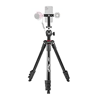 Compact Light Kit, Smartphone/Camera Tripod with Ball Head, Universal Smartphone Holder, Carrying Bag, for CSC, DSLR, Mirrorless Camera, Smartphone, Colour: Black, 1.5 Kg Capacity