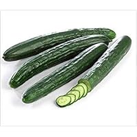 25+ Japanese TOKIWA Tokyo Green burpless Long Cucumber Seed(s)-ALYF 常磐胡瓜, Can Grow in Pot or Tray