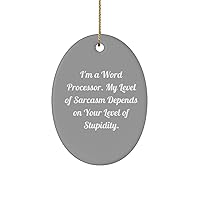 Inspire Word Processor Gifts, I'm a Word Processor. My Level of Sarcasm Depends on Your., Cheap Oval Ornament for Friends from Team Leader