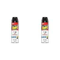 Ant & Roach Aerosol Bug Spray, Water-Based Formula Insecticide with No Greasy Residue, Kills On Contact, 17.5 oz (Pack of 2)