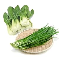 Asian Vegetable Seeds Bundle: Baby Bok Choy Seeds + Chinese Garlic Chive Seeds