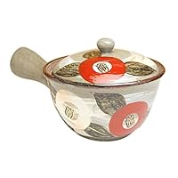 Japanese Teapot Ceramic Kyusu 8.5 fl oz Arita Imari ware Made in Japan Pottery Tea pot for Green Tea Hake Tsubaki