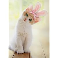 Kitten With Bunny Ears - Avanti Cat Easter Greeting Card