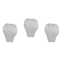 Stress Relief Squeezable Foam Tooth Set of 3