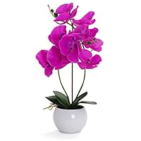 Artificial Orchid - Fake Orchid Plant with Real Touch Flowers - Faux Orchid with Long Stem Artificial Flowers - Potted Orchid/Plastic Orchid Fake Flowers (Single, Violet - Large)