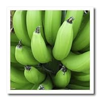 3dRose ht_59757_2 Green Plantains Bananas Cousin Iron on Heat Transfer for White Material, 6 by 6-Inch