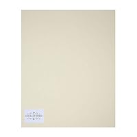 Homeford Plain EVA Foam Sheet, 9-1/2-Inch x 12-Inch, 10-Piece (Tan)