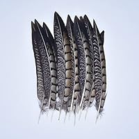 Zamihalaa 10Pcs/Lot Natural Pheasant Feathers for Needlework 15-20cm Small Crafts Feather Decor Plumes Handicraft Accessories Decoration - 5.