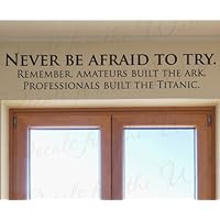 Never Be Afraid to Try Professionals Built the Titanic - Funny Office Inspirational Motivational Achievement Success - Wall Decal Art Letters, Decorative Vinyl Lettering Quote, Sticker Decoration, Saying Decor