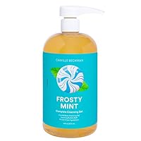 Complete Hand & Body Cleansing Gel, Frosty Mint, 16 Ounce